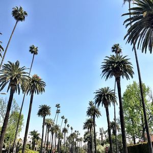 Meet your Posher, Cary